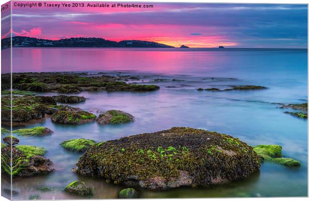 Sunrise over Torquay. Canvas Print by Tracey Yeo