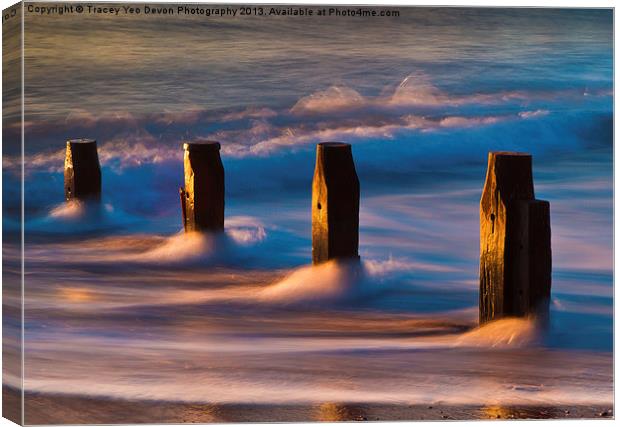 Groynes At Sunrise Canvas Print by Tracey Yeo