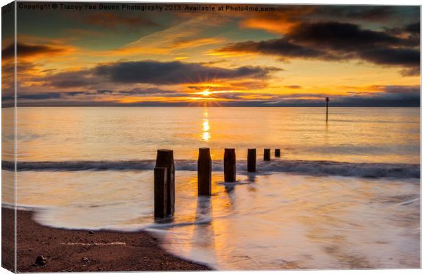 Beach Golden Sunrise Canvas Print by Tracey Yeo