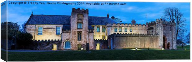 Torre Abbey Floodlit Canvas Print by Tracey Yeo