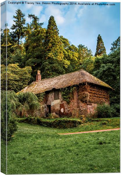 Cockingtons gamekeepers cottage. Canvas Print by Tracey Yeo