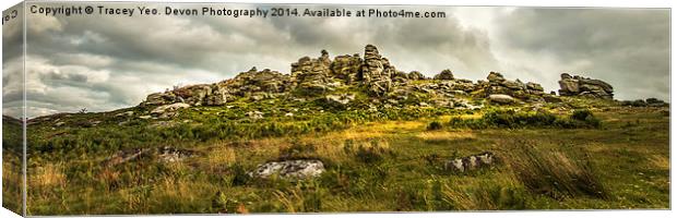  Hound Tor on Dartmoor Canvas Print by Tracey Yeo