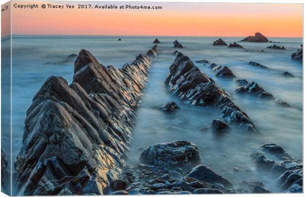 Hartland Quay Sunset. Canvas Print by Tracey Yeo