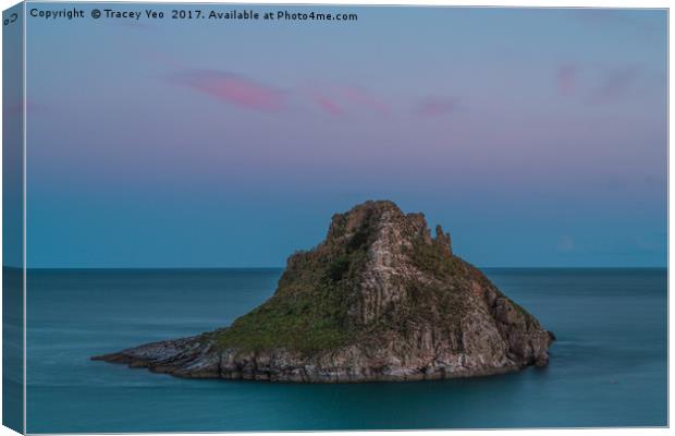 Thatcher Rock Torquay at Sunset   Canvas Print by Tracey Yeo