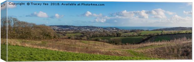 Torquay Panorama. Canvas Print by Tracey Yeo