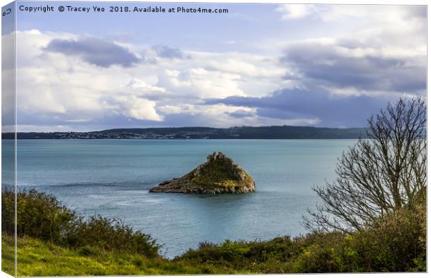 Looking Across Torbay. Canvas Print by Tracey Yeo