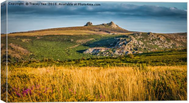 Haytor Rocks With Painted Effect. Canvas Print by Tracey Yeo