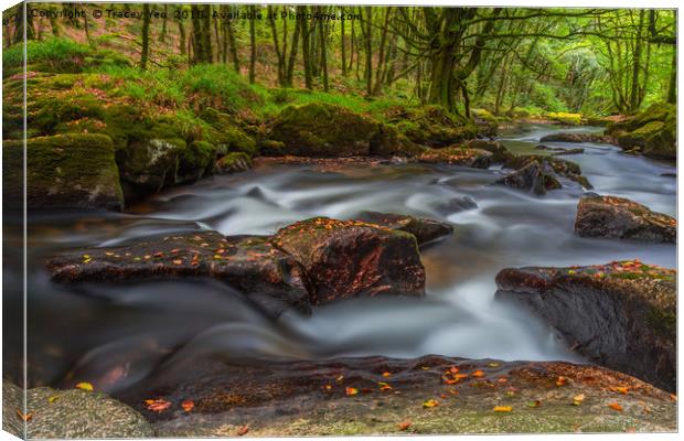 Golitha Falls. Canvas Print by Tracey Yeo