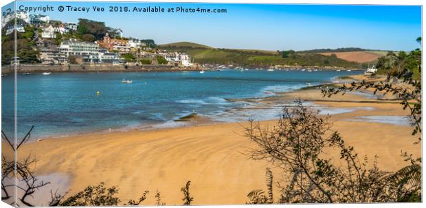 Salcombe Estuary From Mill Bay.  Canvas Print by Tracey Yeo