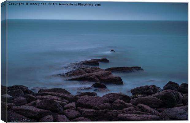 Moody Blue At Maidencombe. Canvas Print by Tracey Yeo