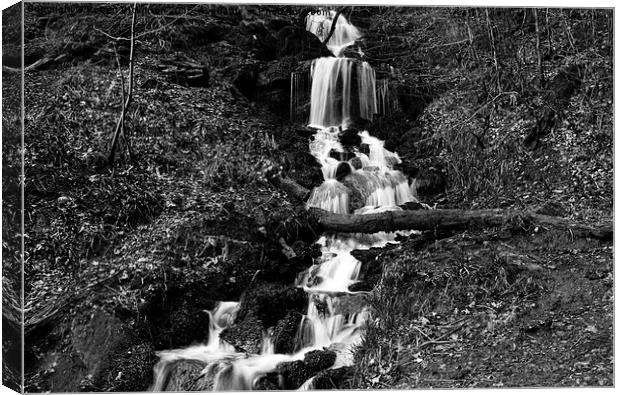  Hardcastle Crags B&W Canvas Print by Robert Dickinson