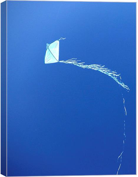Kite Canvas Print by Steve Outram