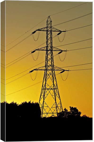 Electric sunrise Canvas Print by Brian Fry