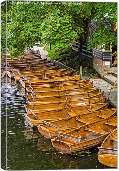  Boats for hire Canvas Print by Brian Fry