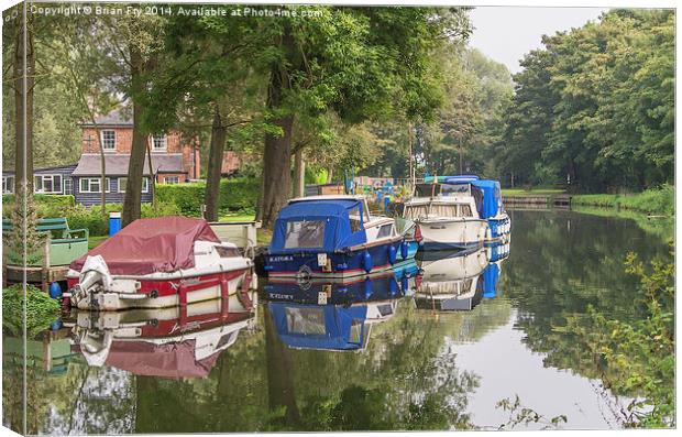 River reflections  Canvas Print by Brian Fry