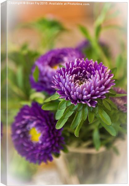  Aster in a vase Canvas Print by Brian Fry