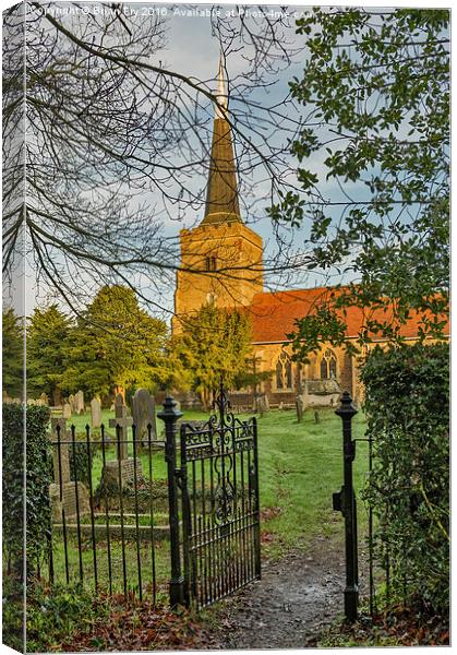 Side  Gate View Canvas Print by Brian Fry