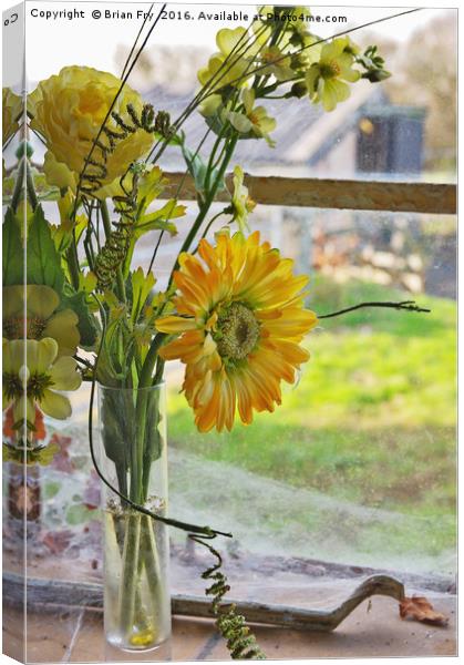 The Window Sill Canvas Print by Brian Fry