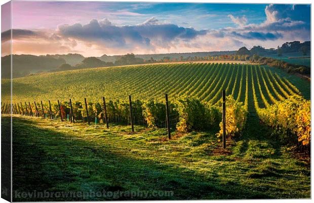 Sunrise over a Hampshire vineyard Canvas Print by Kevin Browne