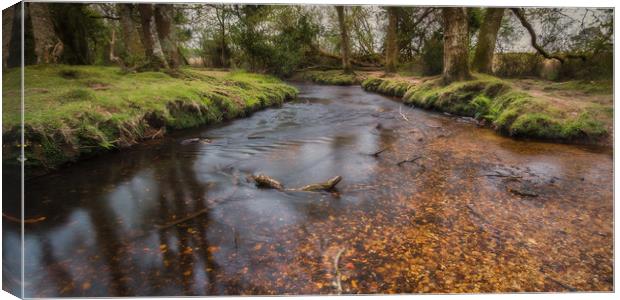 Woodland River Canvas Print by Kevin Browne