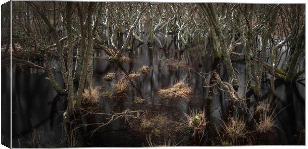 Trees In The Marsh Canvas Print by Kevin Browne