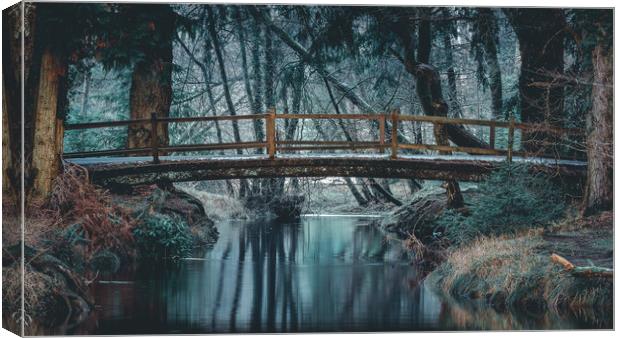 Rhinefield Ornamental Drive, New Forest Canvas Print by Kevin Browne