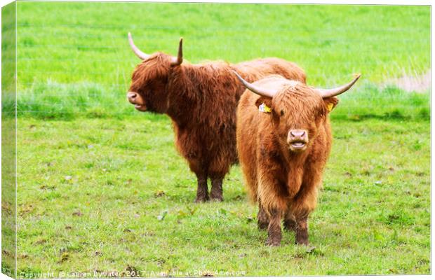 Highlands in the Shire Canvas Print by Lauren Bywater