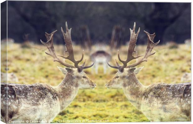 Oh Deer Me! Canvas Print by Lauren Bywater
