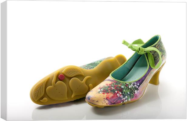 Pair of flowery shoes Canvas Print by Dean Mitchell
