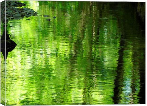Green water Canvas Print by Ralph Jackson