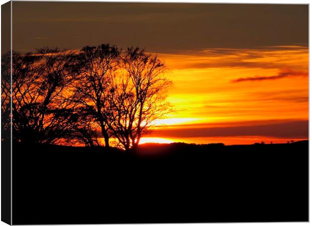 Lovely Sunset Just Passed Windmill Canvas Print by adrian shirkey