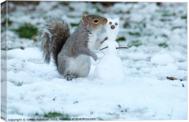 Grey squirrel building a snow squirrel in the snow Canvas Print by Gerald Robinson