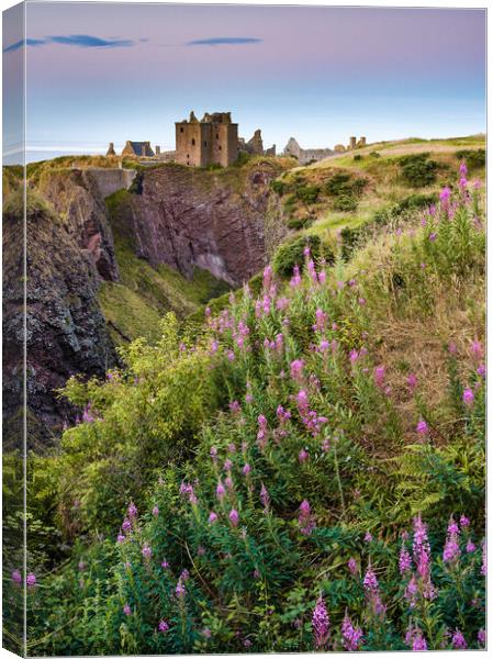 Summer at Dunnottar Castle Canvas Print by Dave Bowman