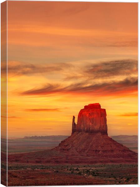Red Tip Sunset Canvas Print by Dave Bowman