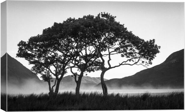 Morning Mist over Crummock Water Canvas Print by Dave Bowman