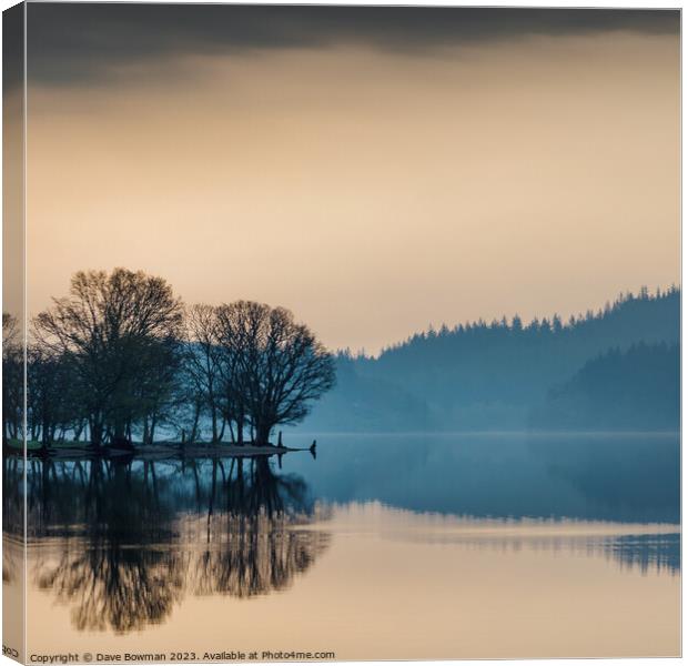 Loch Ard Reflection Canvas Print by Dave Bowman