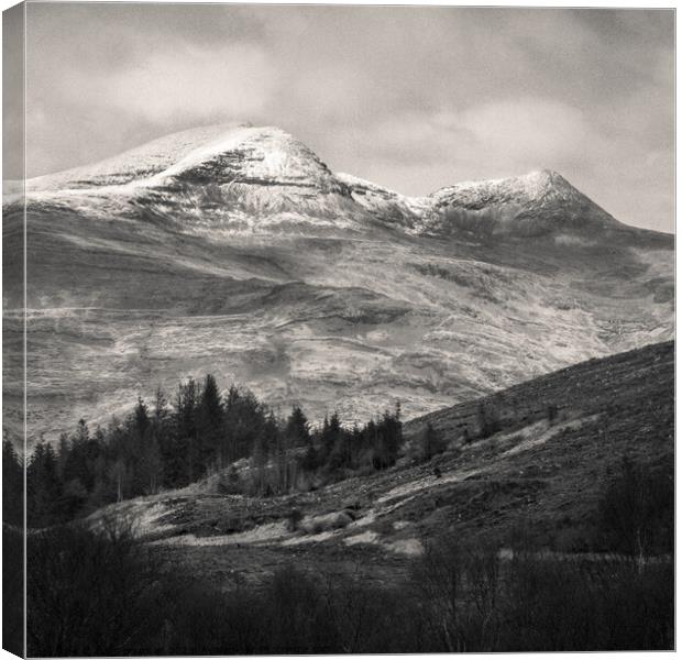 Mull Landscape Canvas Print by Dave Bowman