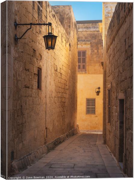 Mdina Alleyway Canvas Print by Dave Bowman