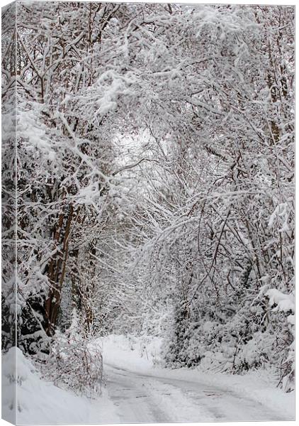 Snowy Lane Canvas Print by Lynette Holmes