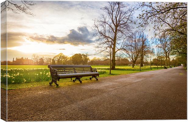  Empty Benches in Greenwich Park Canvas Print by John Ly