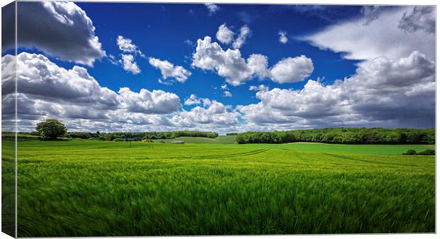 British Countryside - wheatfields in Kent, UK Canvas Print by John Ly