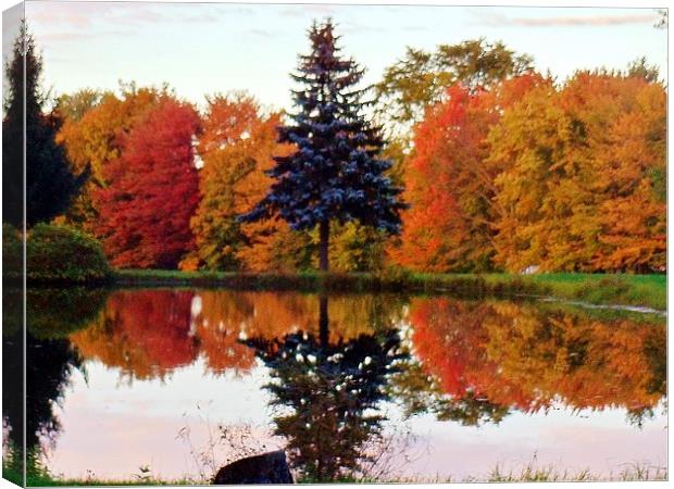 Reflections on the pond. Canvas Print by Jeffrey Evans