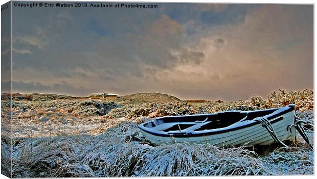 Grounded for Winter Canvas Print by Eric Watson