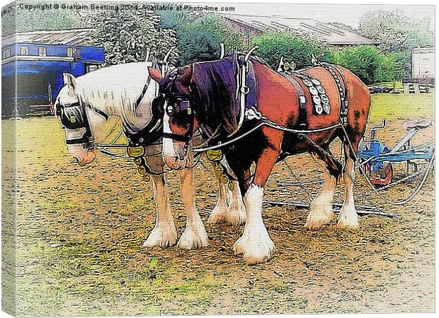 Shire Horses Canvas Print by Graham Beerling