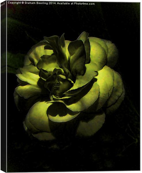Green Flower Canvas Print by Graham Beerling