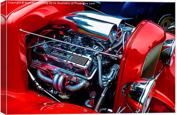 Pure Muscle Canvas Print by Graham Beerling