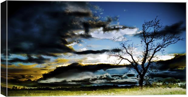 The Calm Before the Storm Canvas Print by Chris Murphy