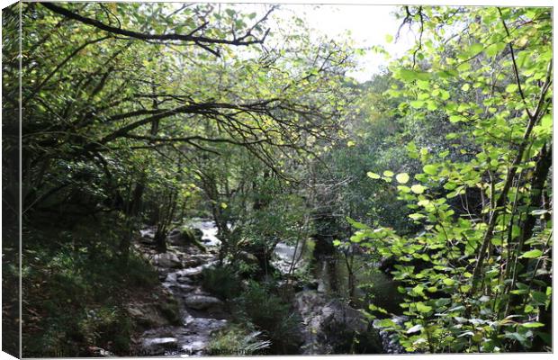 Aria waterfalls Canvas Print by Claire Colston