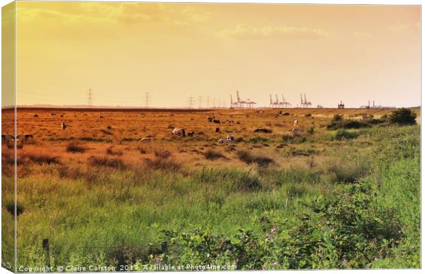 Isle of Grain Horses Canvas Print by Claire Colston