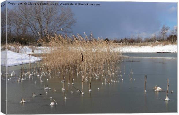 Snowy Lake Canvas Print by Claire Colston